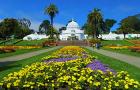 conservatory of flowers in golden gate park